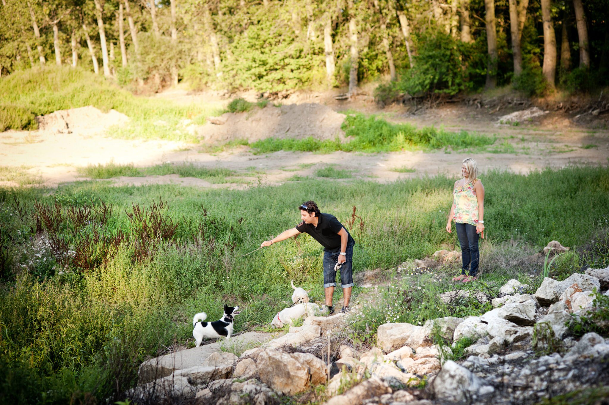 Top 5 Dog Friendly Hiking Trails in Prescott, Arizona. Off Leash K9