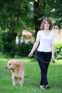 Guide to Choosing the right Dog Trainer
