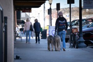 Things to do with Your Dog in Prescott Valley, Arizona